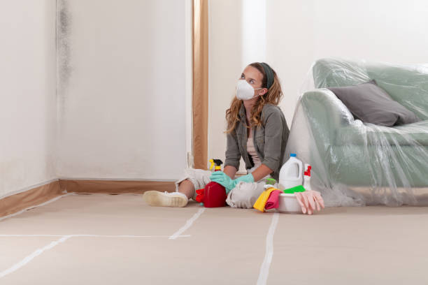Trusted Black Mold Removal service in Franklin Square, NY - WQB Mold Removal
